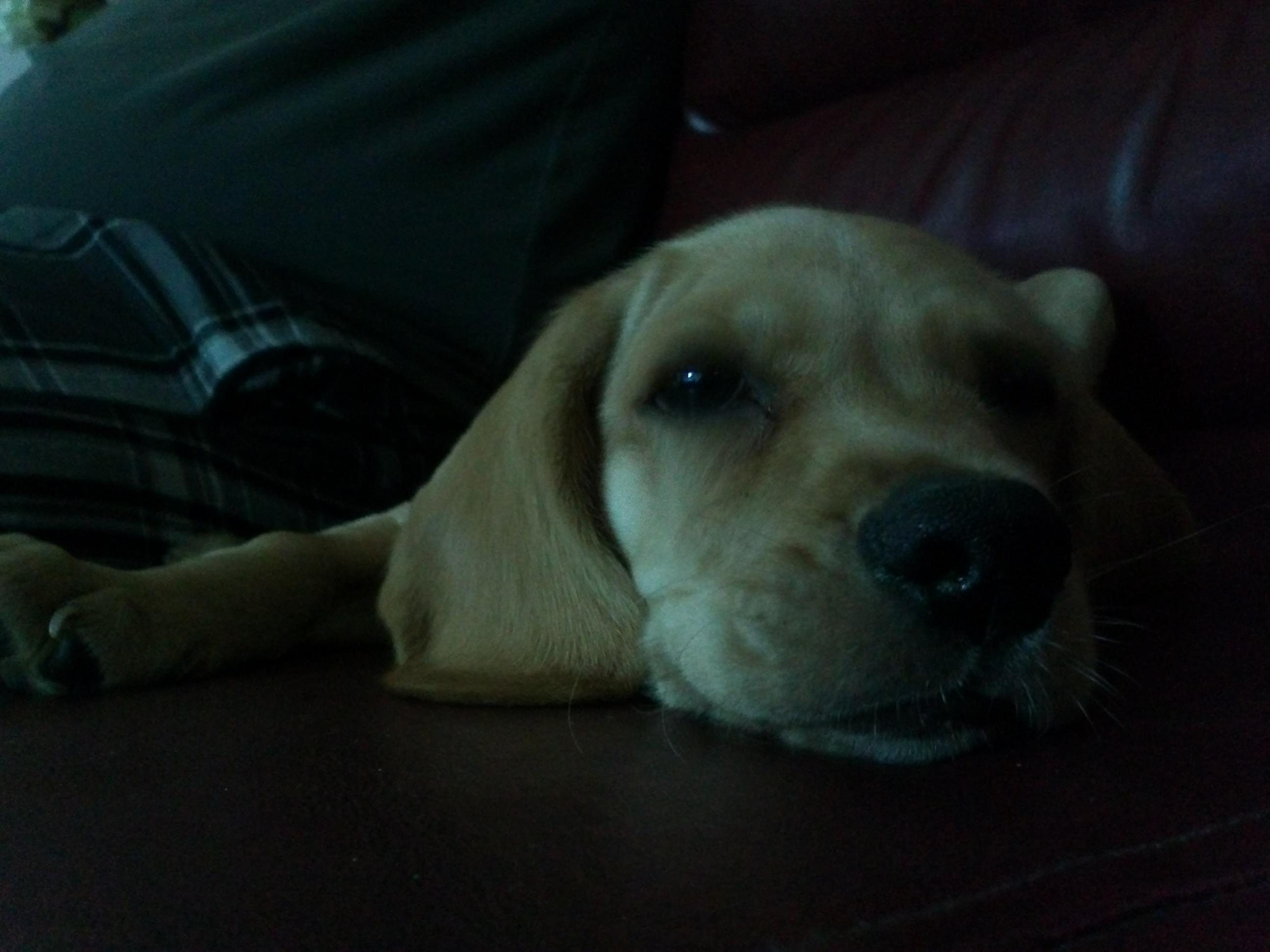 לחץ כאן לתמונה גדולה יותר

שם:	IMG139.jpg
צפיות:	80
גודל:	235.8 קילובייט
קוד:	14268