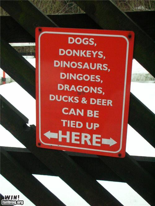 שם:  epic-win-photos-pet-sign-win.jpg
צפיות: 112
גודל:  46.5 קילובייט