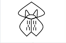 שם:  5.jpg
צפיות: 924
גודל:  9.9 קילובייט