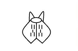 שם:  4.jpg
צפיות: 827
גודל:  6.9 קילובייט