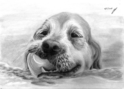 שם:  dogball.jpg
צפיות: 66
גודל:  102.8 קילובייט