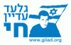 כללי